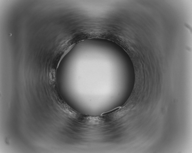 X0000098050528200804071511