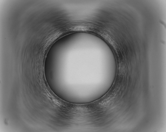 X0000098050529200804071510