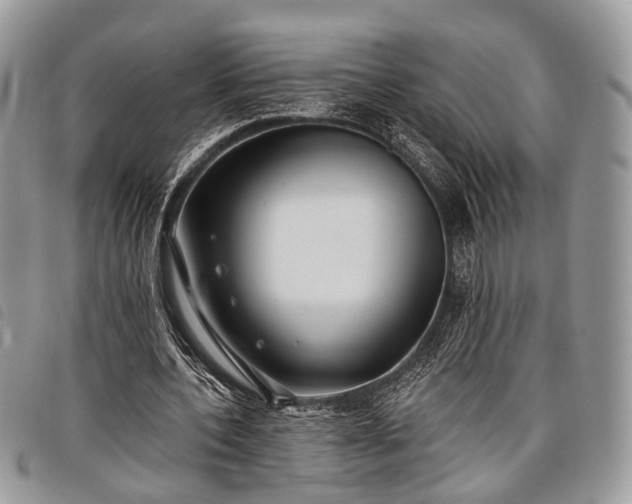 X0000098050532200804071510