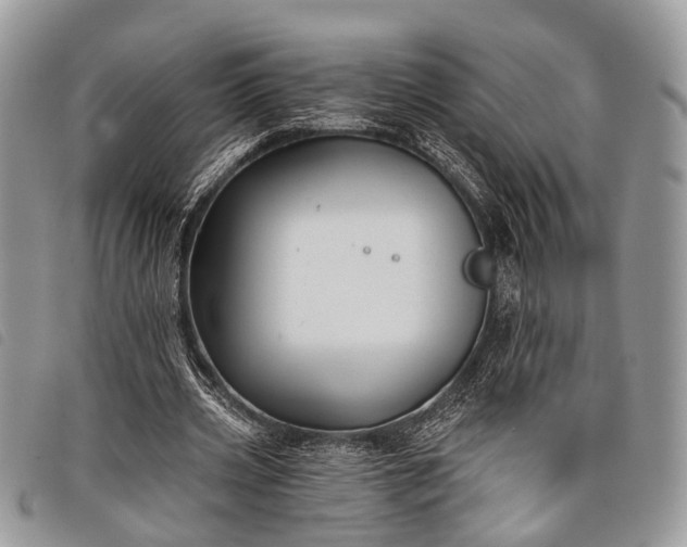 X0000098050533200804071510