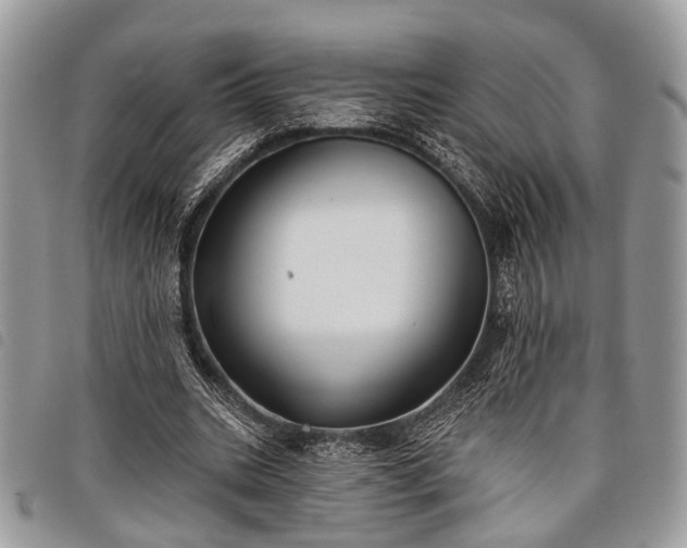 X0000098050535200804071510