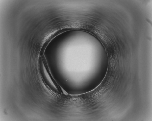 X0000098050536200804071510