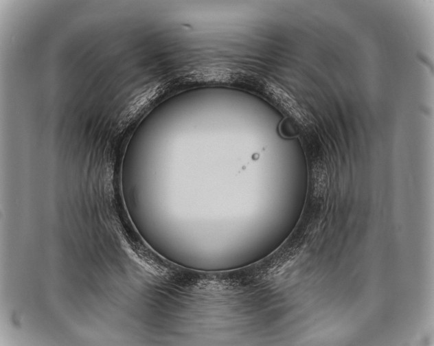 X0000098050538200804071510