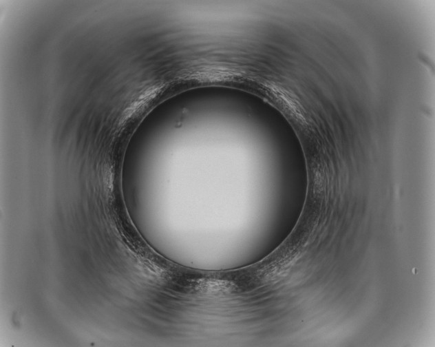 X0000098050539200804071510