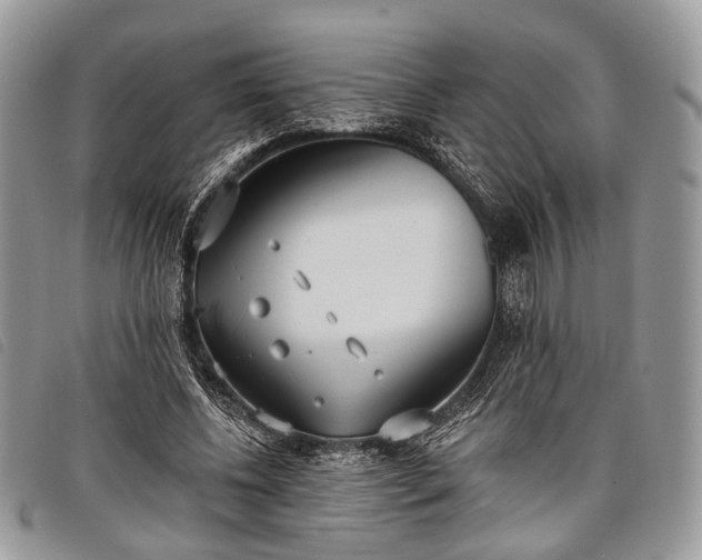 X0000098050540200804071510