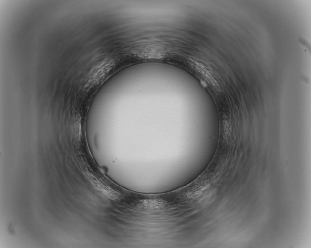 X0000098050541200804071510