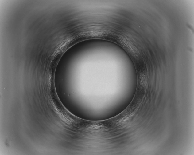 X0000098050542200804071510