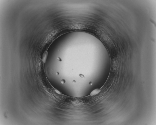 X0000098050544200804071510