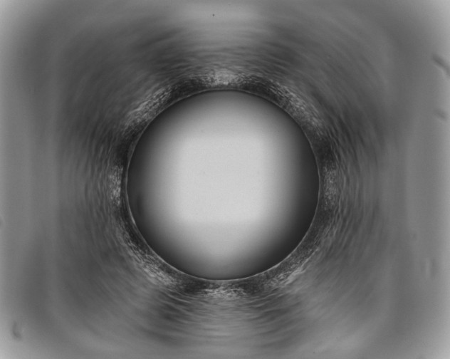 X0000098050545200804071510