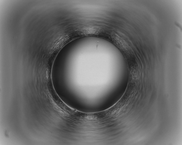 X0000098050546200804071510