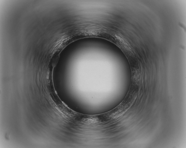 X0000098050548200804071510