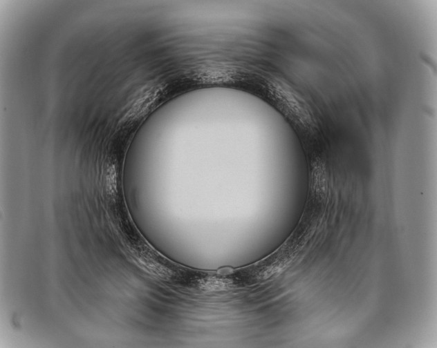 X0000098050549200804071510