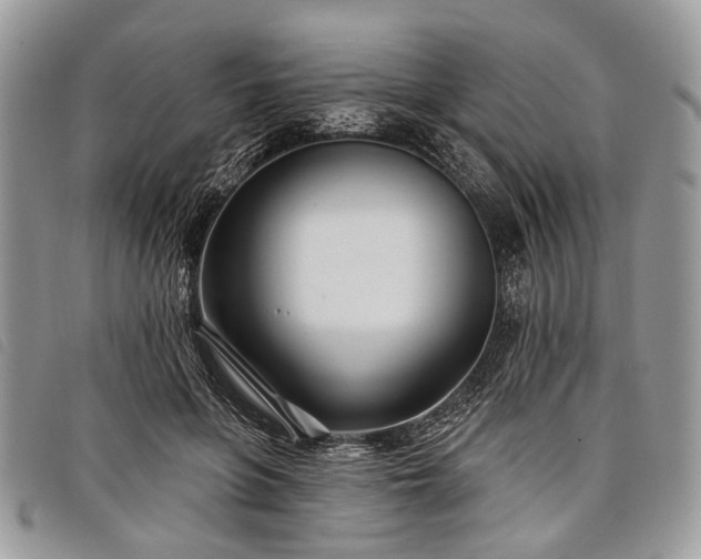 X0000098050551200804071510