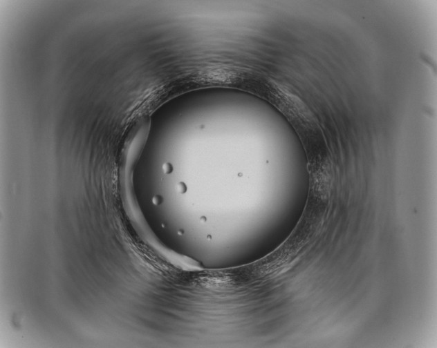 X0000098050552200804071510