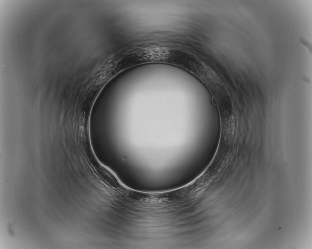 X0000098050553200804071510