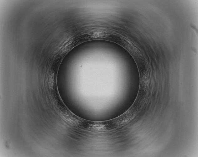 X0000098050554200804071510