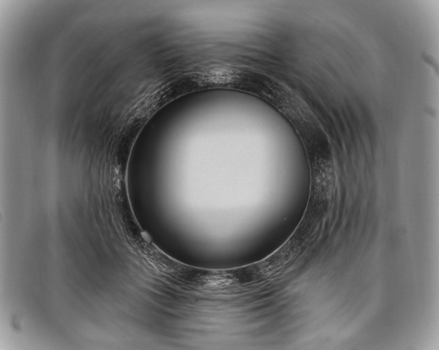 X0000098050555200804071510