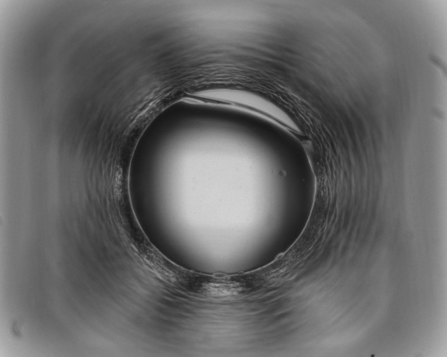 X0000098050556200804071510