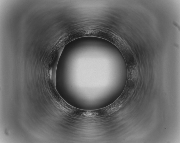 X0000098050558200804071510