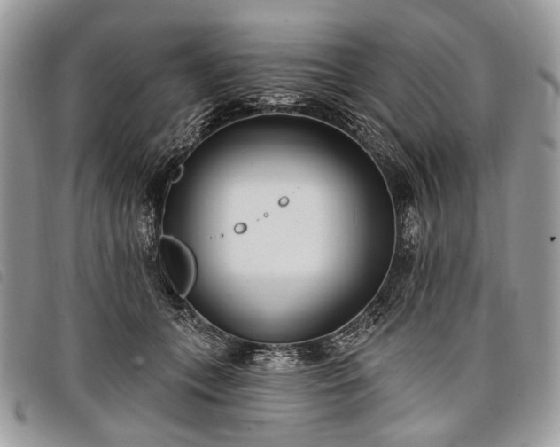 X0000098050559200804071510