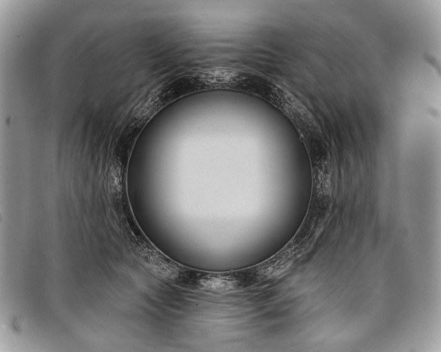 X0000098050561200804071510