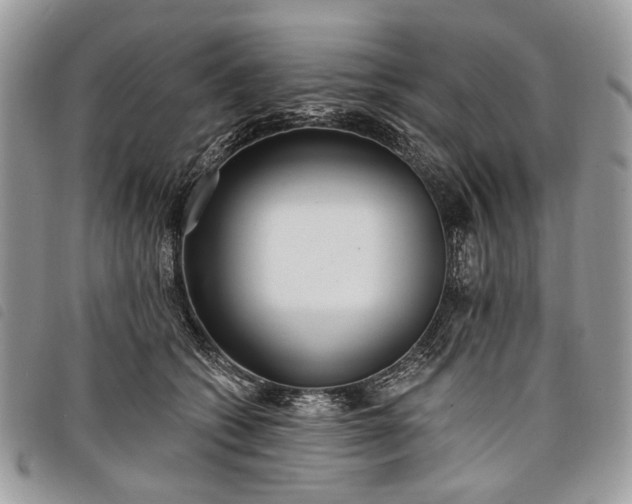 X0000098050562200804071510