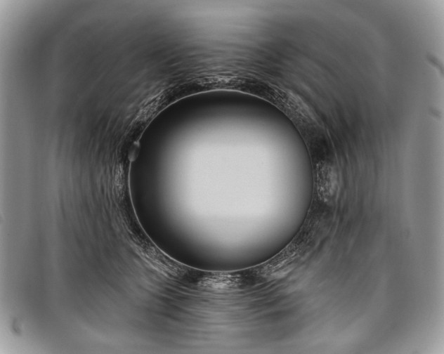 X0000098050563200804071510