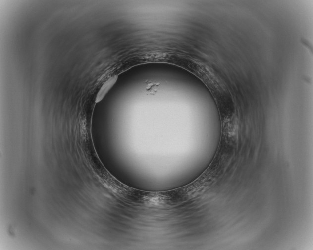 X0000098050564200804071510