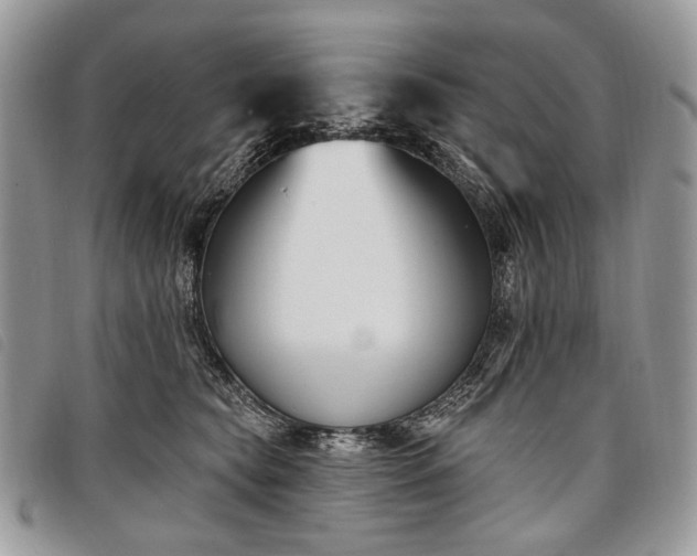 X0000098050565200804071510