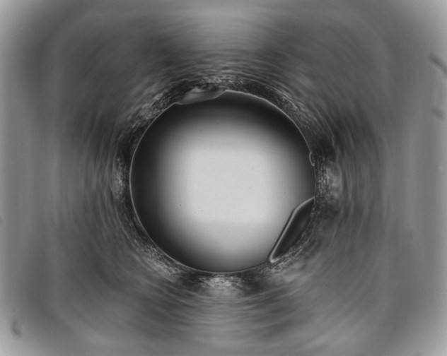 X0000098050566200804071510