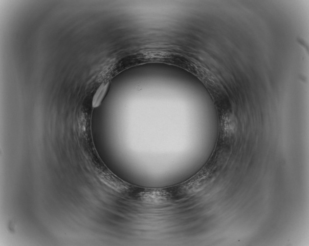 X0000098050567200804071510