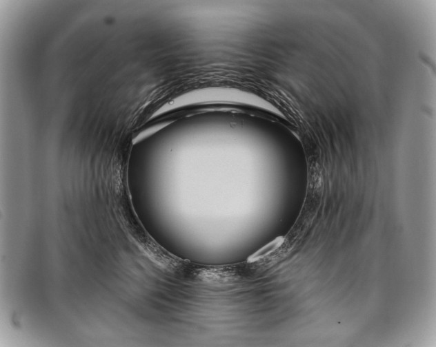 X0000098050568200804071510