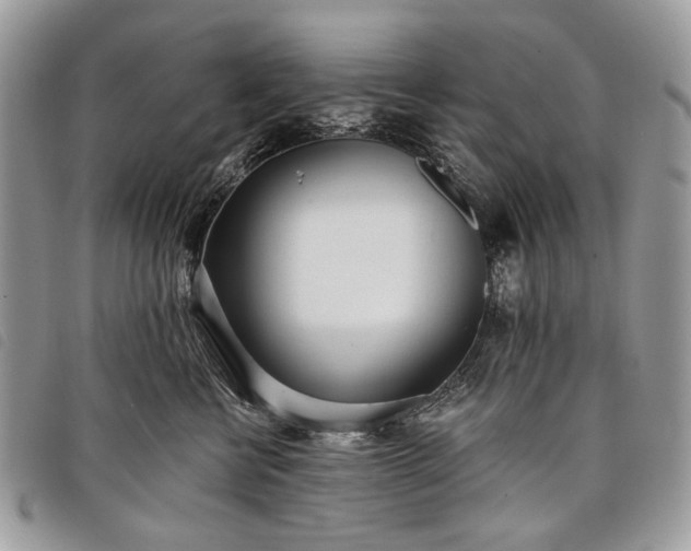 X0000098050570200804071511