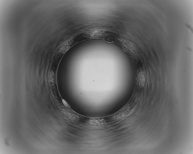 X0000098050571200804071511