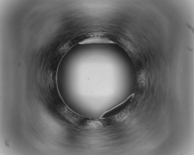 X0000098050572200804071511