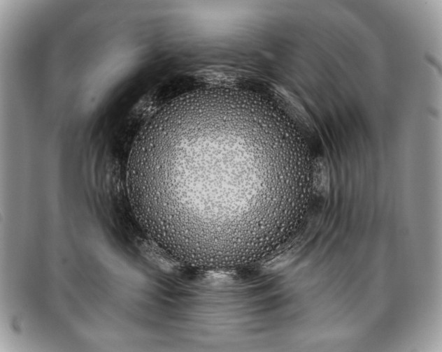 X0000098050573200804071511