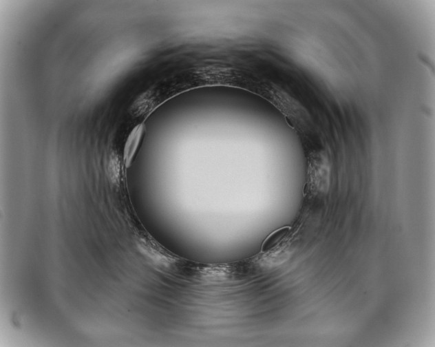 X0000098050574200804071511