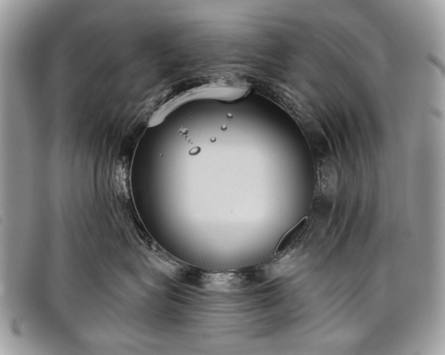 X0000098050575200804071511