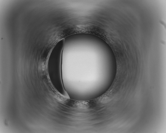 X0000098050576200804071511