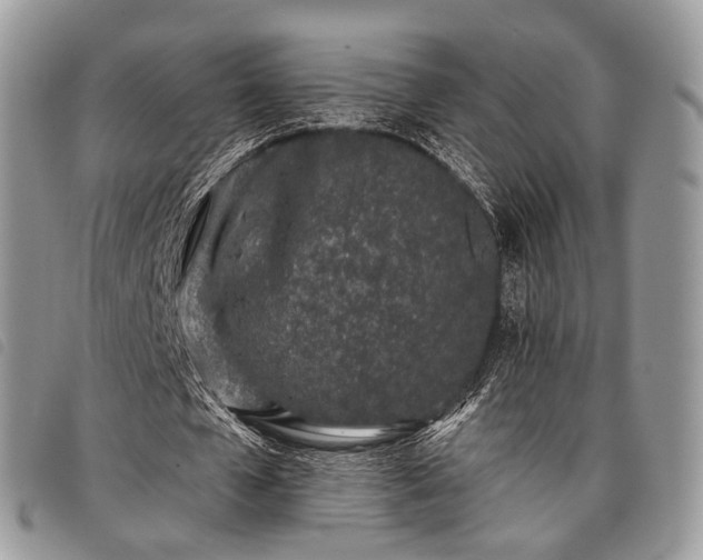 X0000098050577200804071510