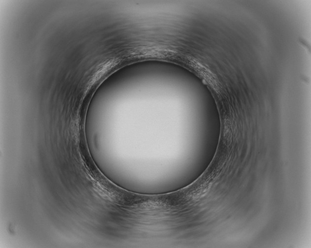 X0000098050578200804071510