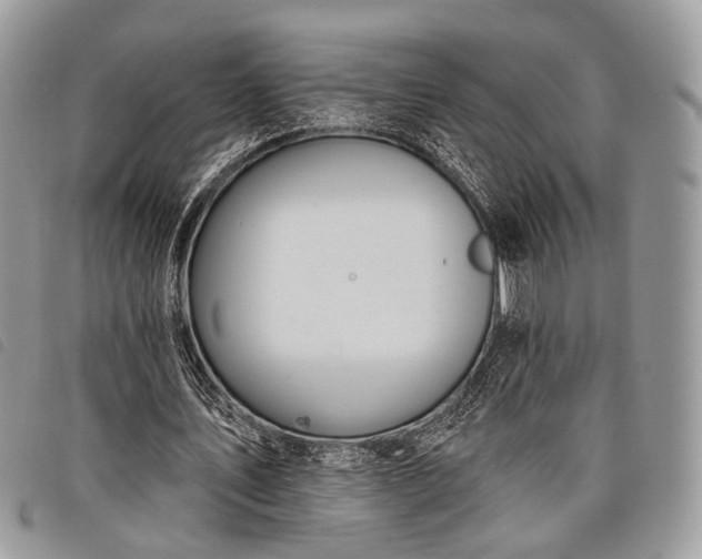 X0000098050579200804071510