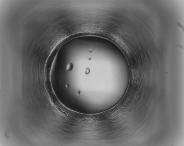 X0000098050580200804071510