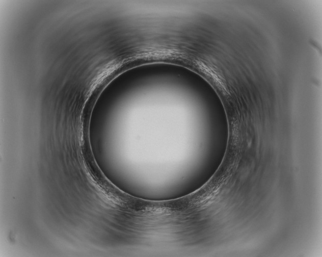 X0000098050582200804071510