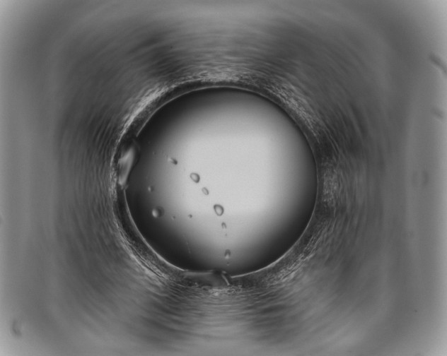 X0000098050584200804071510