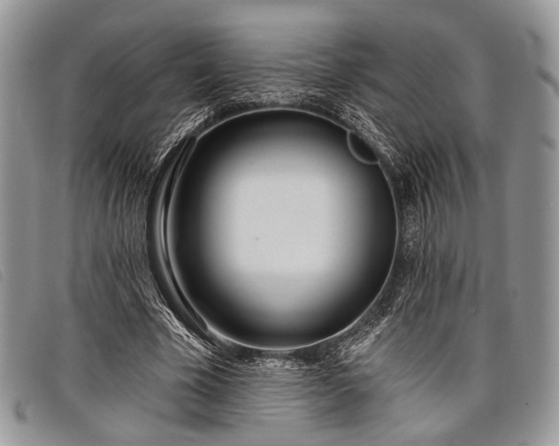 X0000098050585200804071510