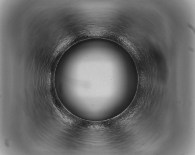 X0000098050586200804071510