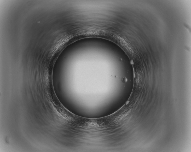 X0000098050588200804071510