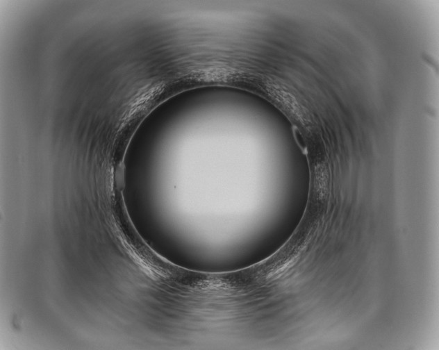 X0000098050589200804071510