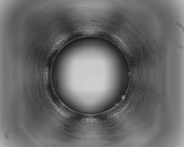 X0000098050590200804071510